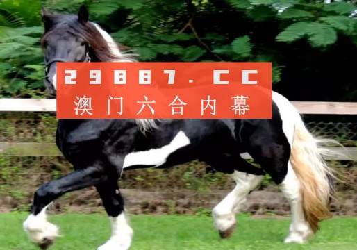 澳门和香港管家一肖一码一开,全面释义解释与落实展望